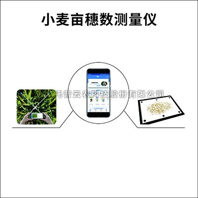 小麥畝穗數測量係統介紹（小麥畝穗數測量係統作用及功能詳解）