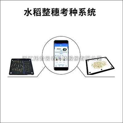 水稻整穗考種儀：一款基於圖像識別技術的水稻整穗考種測量工具