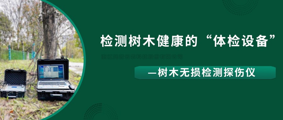 樹木無損檢測探傷儀精準檢測樹木健康狀況，給出專業治療方案