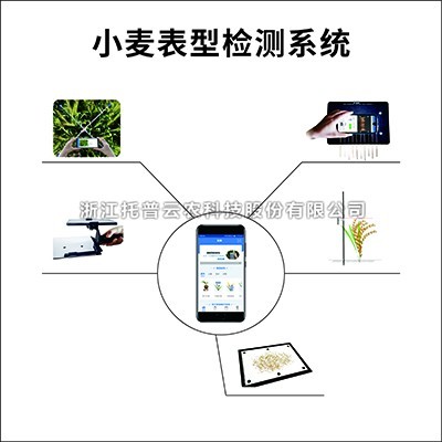 小麥表型檢測係統：專業的小麥表型檢測儀器