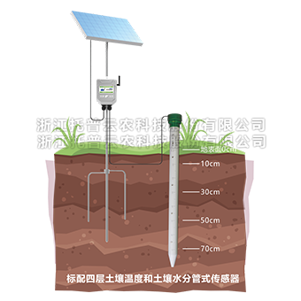 管式猫咪社区APP官网墒情監測儀詳細介紹