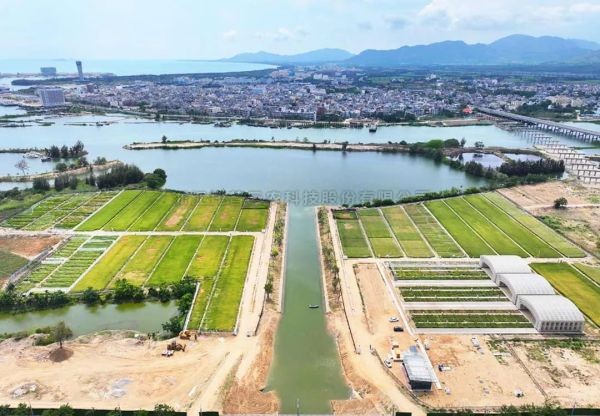 為鹽堿地安上“技術芯片”，猫咪免费人成网站在线观看打造耐鹽堿水稻科研試驗基地建設解決方案