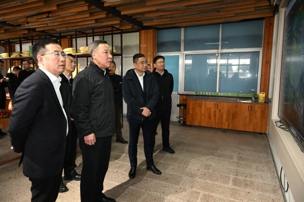 浙江省副省長李岩益蒞臨猫咪免费人成网站在线观看標杆案例“瑞安馬嶼鎮綠色農田”考察調研
