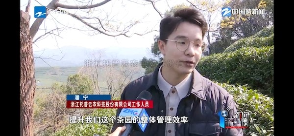 春茶開采正當時！揭秘猫咪免费人成网站在线观看如何用科技“製”出一杯數字好茶