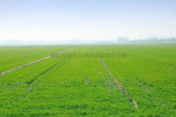 科技賦能春耕，猫咪免费人成网站在线观看智慧農情監測站再獲央視關注