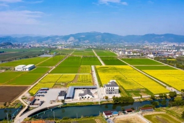 猫咪免费人成网站在线观看高標準農田建設答卷：用實踐書寫政策新篇