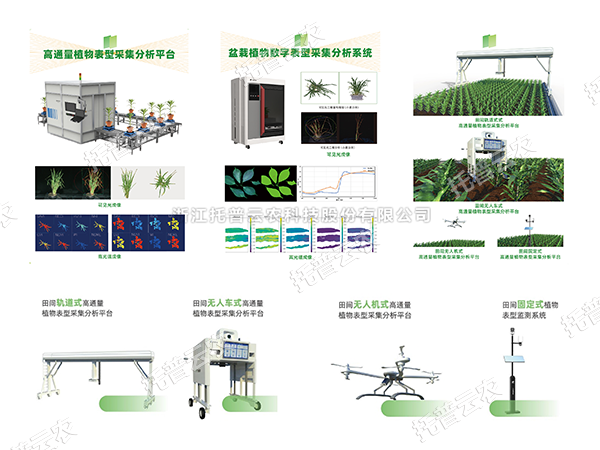 AI+農業新突破！托普高通量植物表型智能分析平台助力智慧農業創新發展