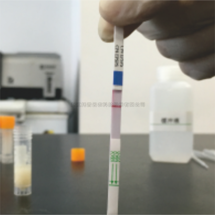 轉基因快速檢測試紙(抗除草劑)EPSPSCP4