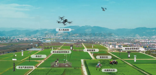 “人工智能+”行動重磅發布！猫咪免费人成网站在线观看聚焦“AI+農業”譜寫智慧發展新篇章