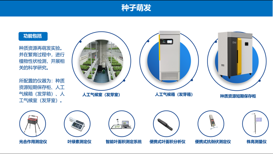 猫咪成年短视频在线看萌發儀器