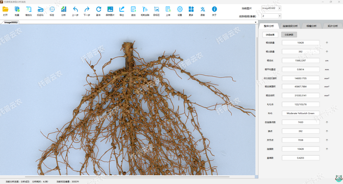 1757053250735676.png 花生-整體分析.png