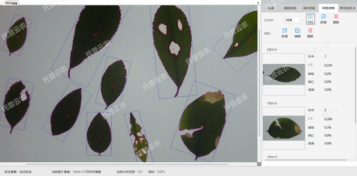 1757057629776515.png 葉色分檔.png